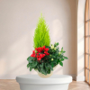 Plante de deuil — Coupe Éternelle, fleurs de deuil livrées à Lille