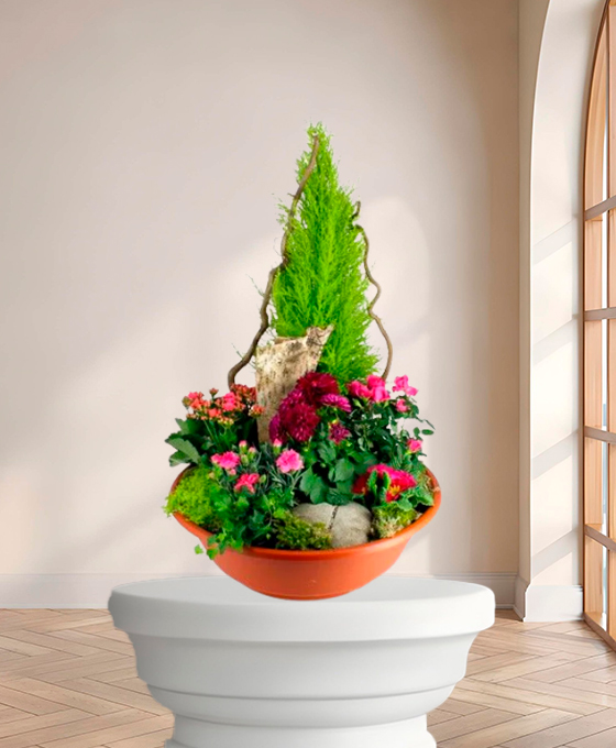 Plante de deuil — Verdure du Souvenir, fleurs de deuil livrées à Lille