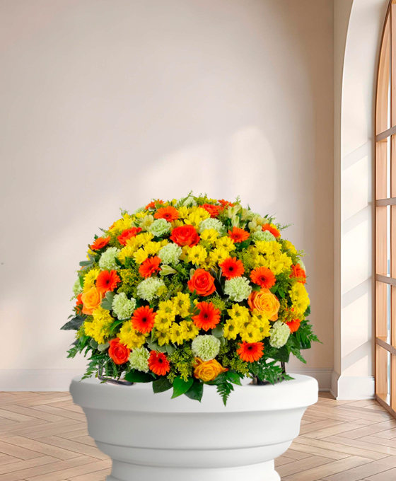 Coussin funéraire — Pensée Solaire, fleurs de deuil livrées à Lille