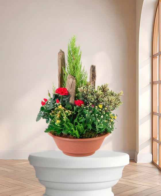 Plante de deuil — Petit Jardin, fleurs de deuil livrées à Lille