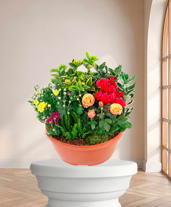 Plante de deuil — Racines du Souvenir, fleurs de deuil livrées à Lille