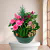 Plante de deuil — Rosier Paisible, fleurs de deuil livrées à Lille